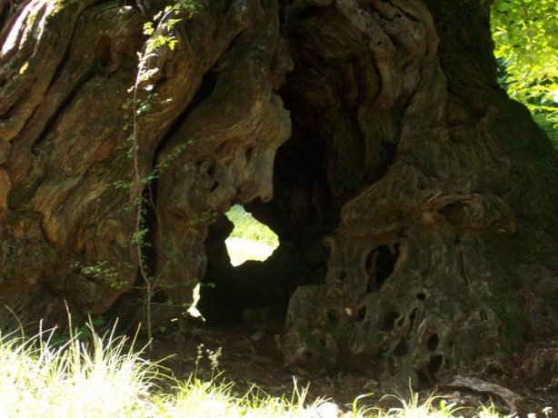 Mi incanta ogni ruga e ne seguo il ricamo del tempo